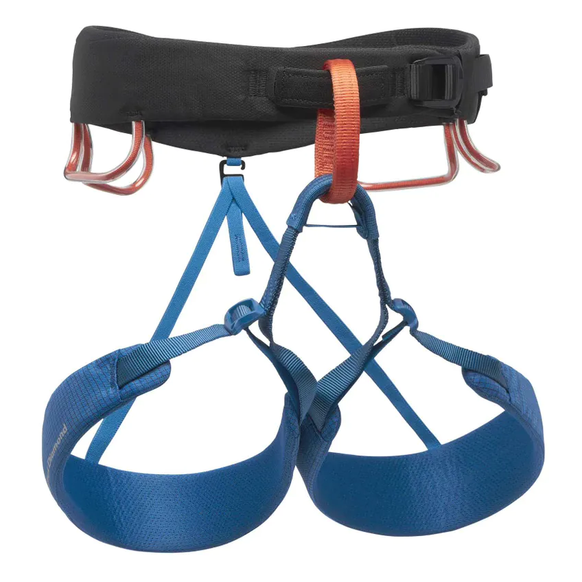 Harness