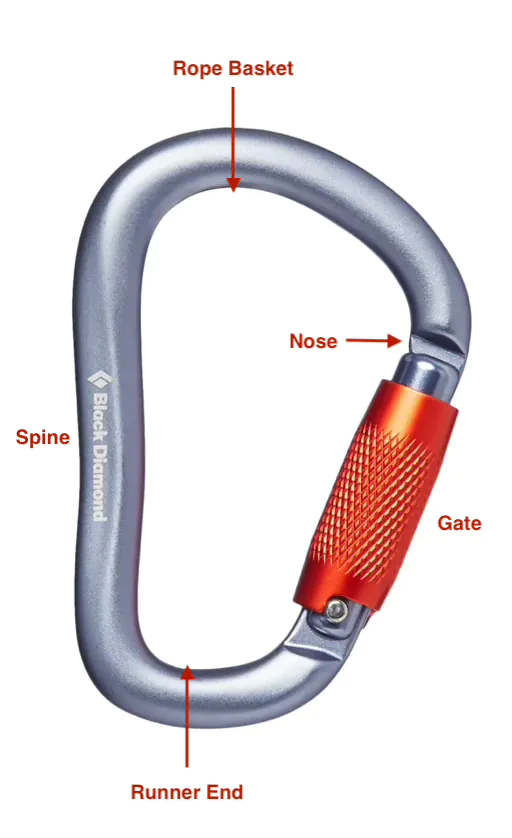 Carabiner Anatomy